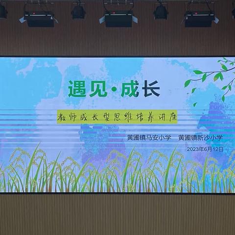 培养成长型思维与教师减压赋能——新沙小学教师心理健康讲座活动