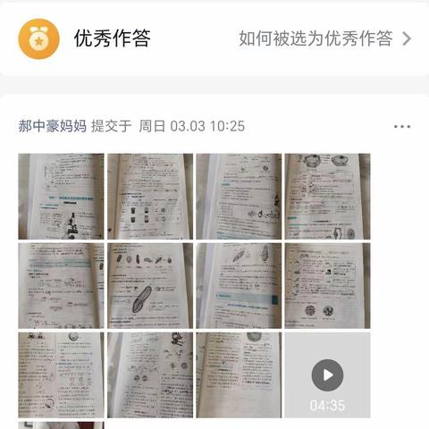 燕子的简篇