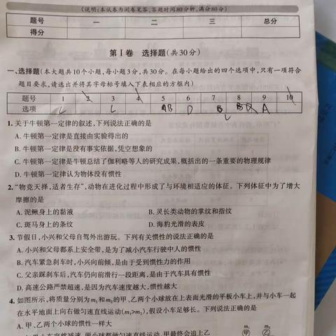 燕子的简篇