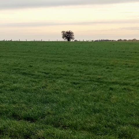 圣诞英国行之12月26日