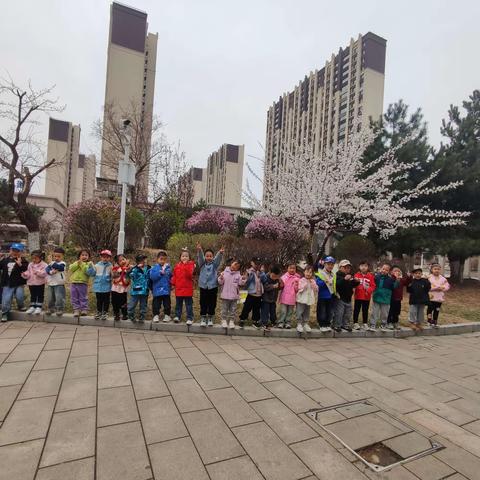 常青藤幼儿园跑跑班六月第四周教学活动