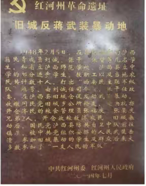 关于“旧城起义”历史影响的讨论和分析