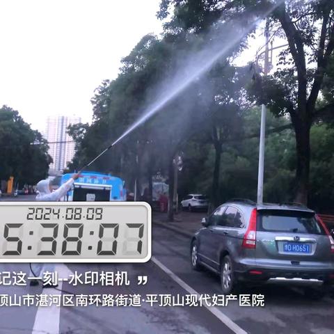 湛河区：紧急开展第三轮绿化除虫专项行动