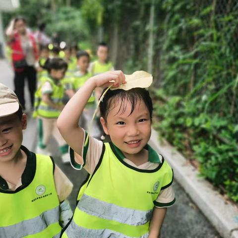 清源幼儿园豆豆班户外森林课——叶子停珠💦