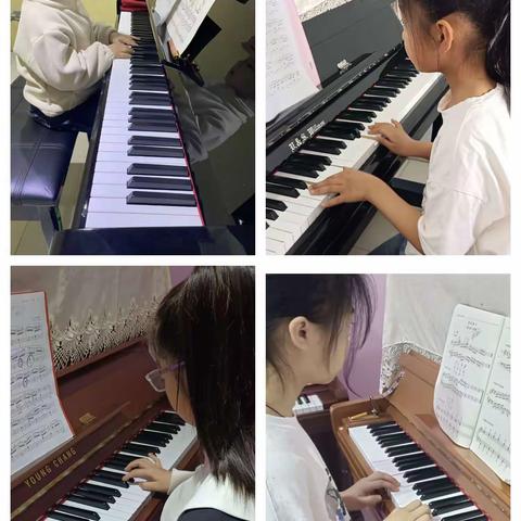 没有一朵花，从开始就是花