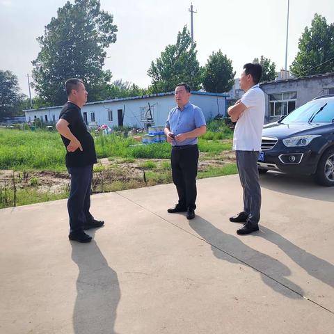 城关镇  7月31日工作动态