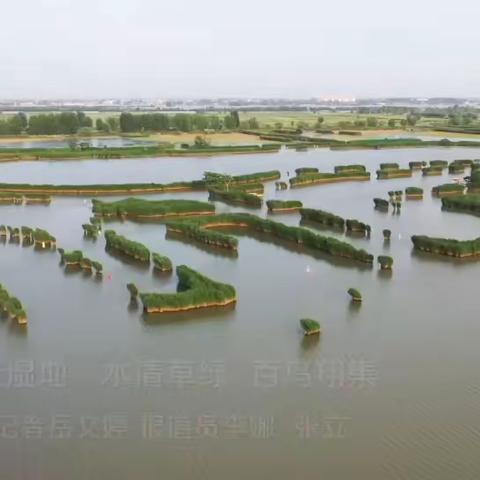 永年洼湿地：水清草绿 百鸟翔集