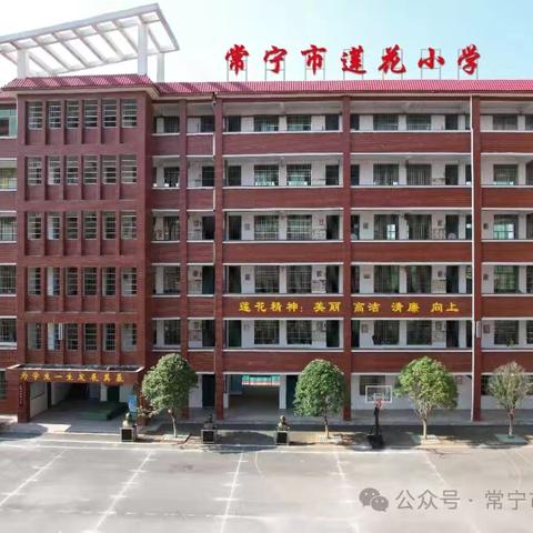 浓浓国庆味 拳拳爱国心——常宁市莲花小学“‘莲娃’迎国庆，‘五育’润童心”特色实践作业展评剪影