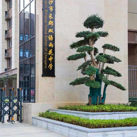 祭拜英烈，踏青赏花一2204班清明节开展社会实践活动