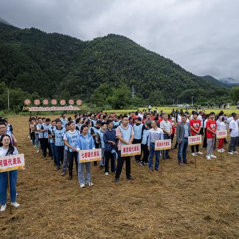 石台农民丰收节