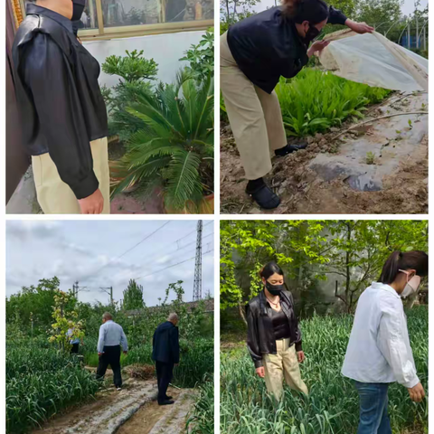 红耀滨河的文章