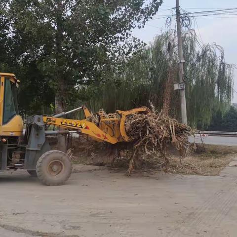 南韩镇积极清理沿河垃圾确保河道通畅