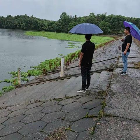 开展防汛巡查 筑牢防汛安全墙