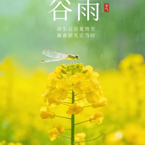 谷雨润春物，节气润童心——汶上县郭楼镇中心幼儿园一分园谷雨节气主题活动