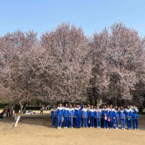 相逢植树节，爱在春风里—濮阳市油田五中七（2）班