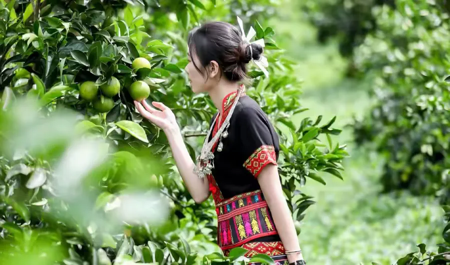 简篇-海南沁味康绿橙原浆酒闪耀第19届中国义乌文化和旅游产品交易博览会