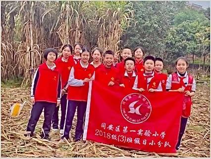 学习雷锋好榜样，三月花开助农乐