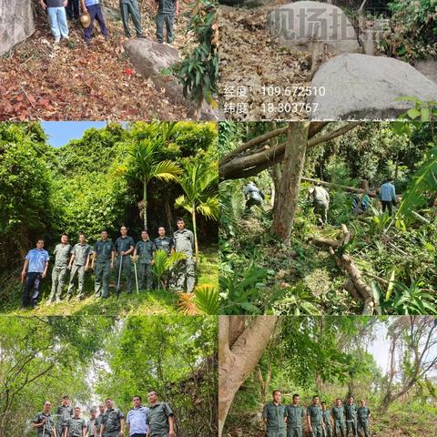 海棠区水务林业局2025年8月林业工作记录(第2期)