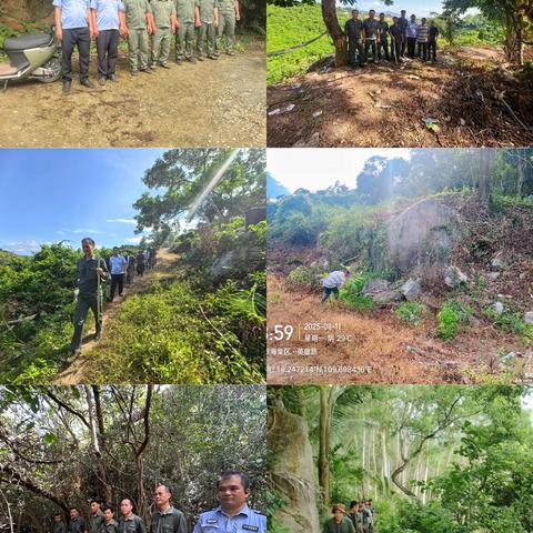 海棠区水务林业局2025年8月林业工作记录(第3期)