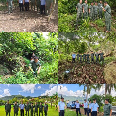 海棠区水务林业局2025年8月林业工作记录(第4期)
