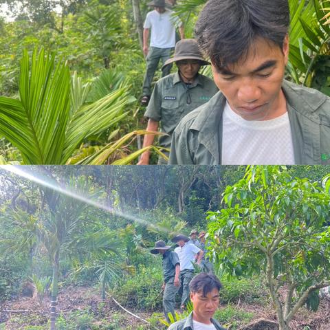 海棠区水务林业局2025年9月林业工作记录(第1期)