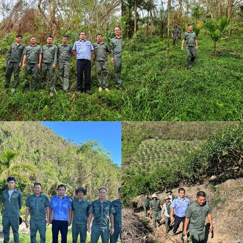 海棠区水务林业局2025年9月林业工作记录(第2期)