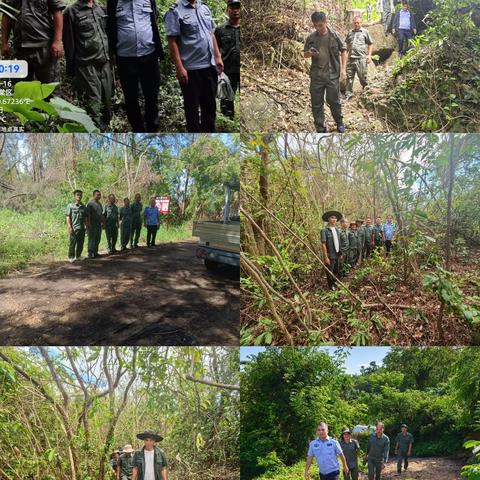 海棠区水务林业局2025年9月林业工作记录(第3期)