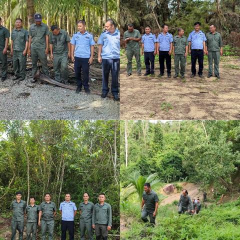海棠区水务林业局2025年9月林业工作记录(第4期)