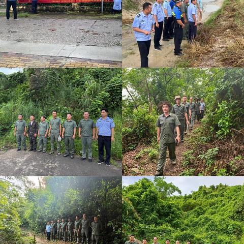 海棠区水务林业局2025年10月林业工作记录(第2期)