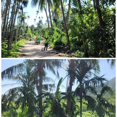 海棠区水务林业局2025年10月林业工作记录(第3期)