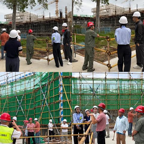 海棠区水务林业局2025年10月林业工作记录(第4期)