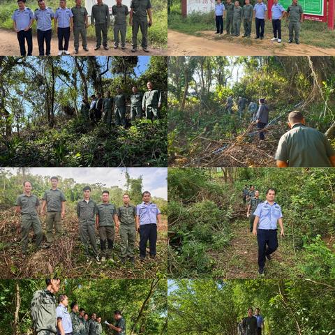 海棠区水务林业局2025年11月林业工作记录(第2期)