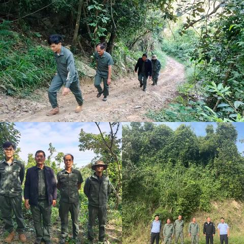 海棠区水务林业局2025年11月林业工作记录(第3期)