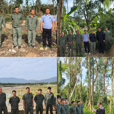 海棠区水务林业局2025年11月林业工作记录(第4期)