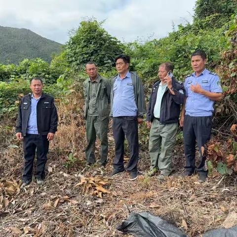 海棠区水务林业局2025年12月林业工作记录(第1期)