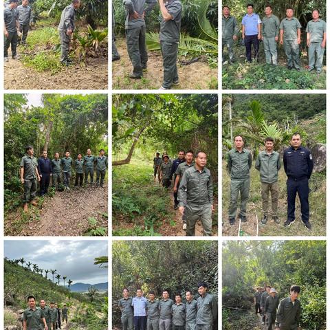 海棠区水务林业局2025年12月林业工作记录(第2期)