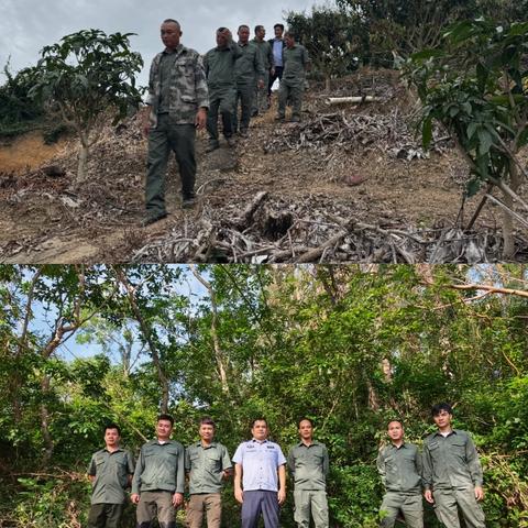 海棠区水务林业局2025年12月林业工作记录(第3期)