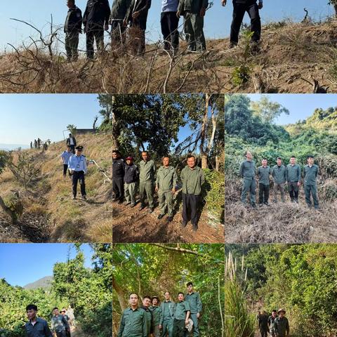 海棠区水务林业局2026年1月林业工作记录(第1期)