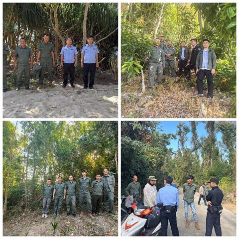 海棠区水务林业局2026年1月林业工作记录(第2期)