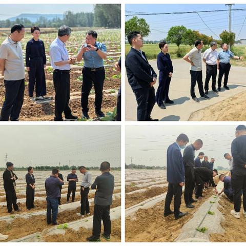 第一党支部开展2025年5月份主题党日活动