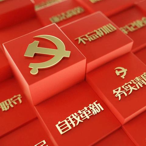 党纪学习教育专栏 | 开封市翰林苑小学党支部党纪学习教育（五）