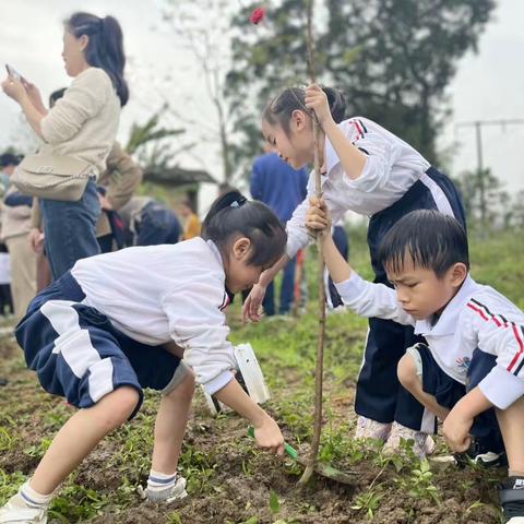 莘莘学子添新“植” ﻿不负春光向“锋”行 ——玉州区第五实验小学2306班开展“学雷锋志愿服务”活动