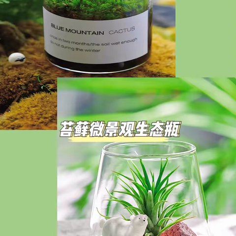 拥抱春天∽植此青绿