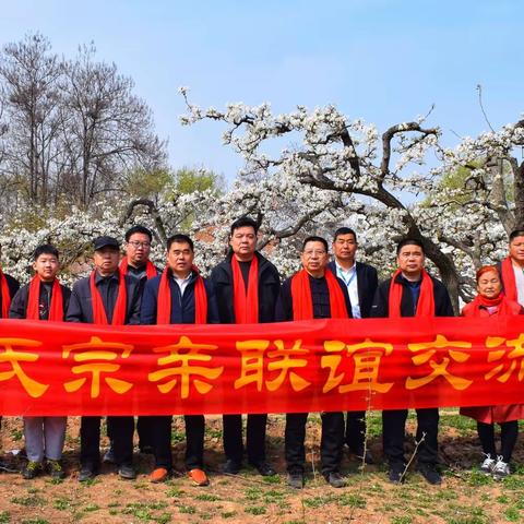 梨花似雾草如烟，春在漳河两岸边——梨花小镇北代固村