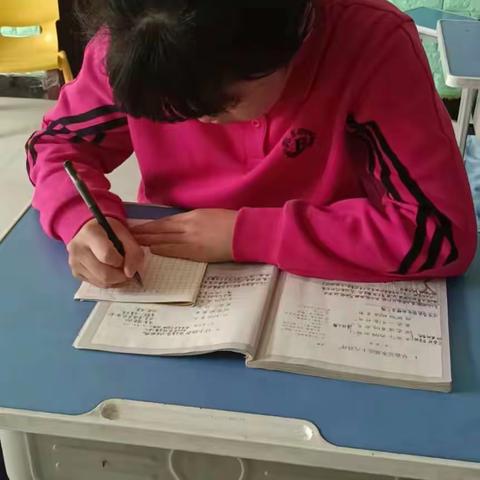 【关爱学生   幸福成长】健康成长 快乐无限  南沿村完小六1班学生日常