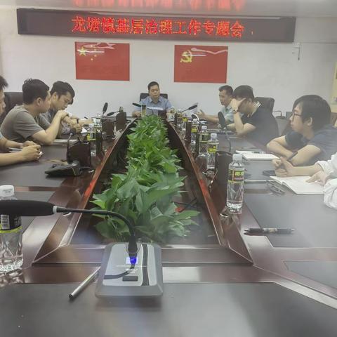 龙塘镇基层治理工作专题会