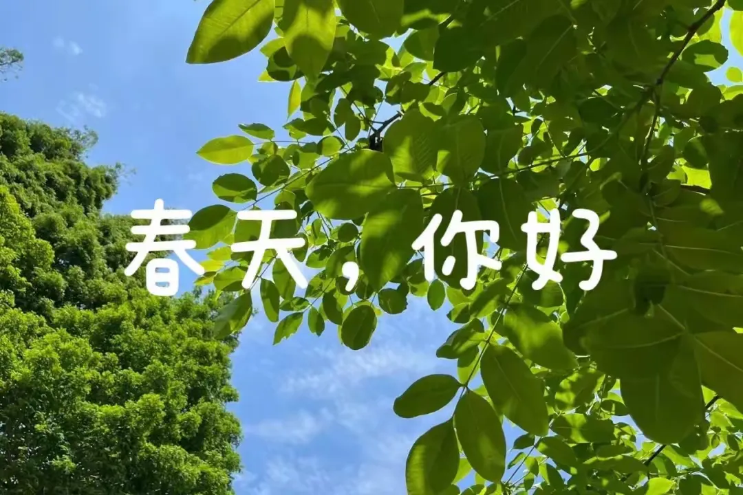 简篇-““幼”见春日.与春相约”--沭河家园幼儿园小一班春天课程故事