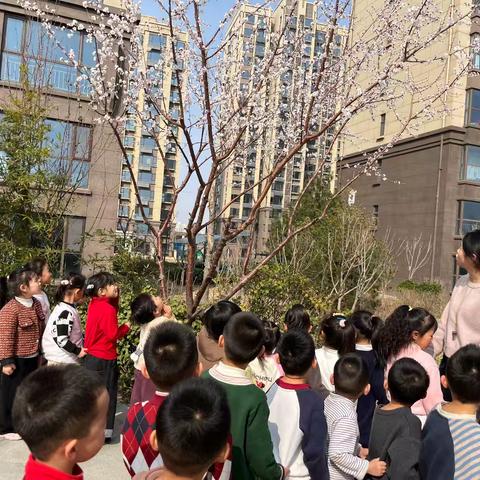 童心携绿 共植美好