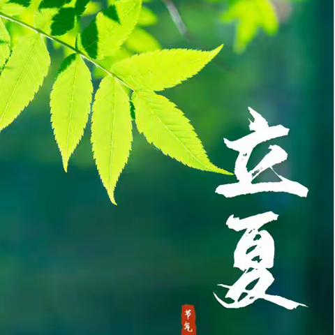 立夏艾灸养生