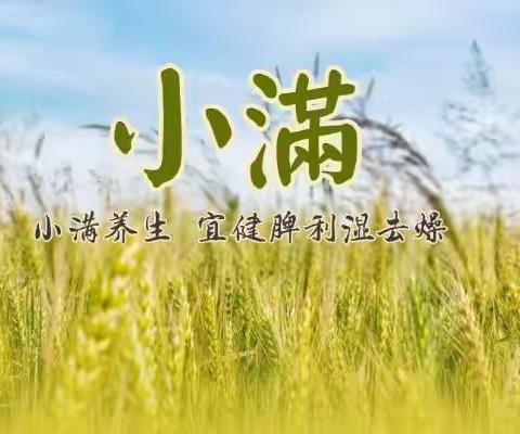 小满艾灸养生